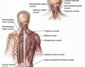 back pain, lower back pain