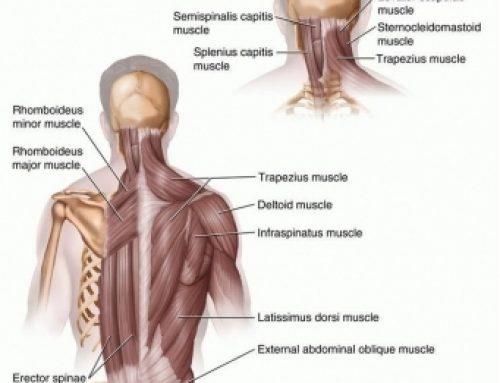Neck and shoulder Pain